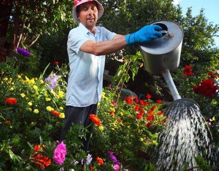 Free quote policy for Landscaping Westham projects and property maintenance