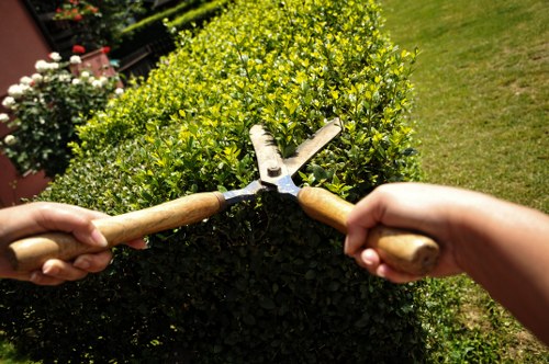 Composite decking used for a residential or commercial space in Westham
