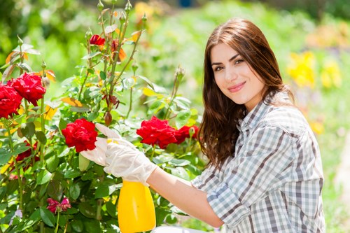 Reporting and governance measures for ethical landscaping