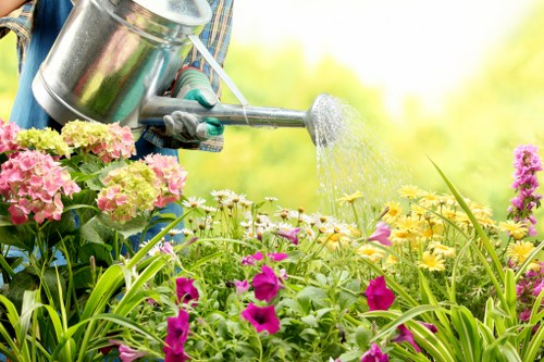 Remedial landscaping action being planned on site