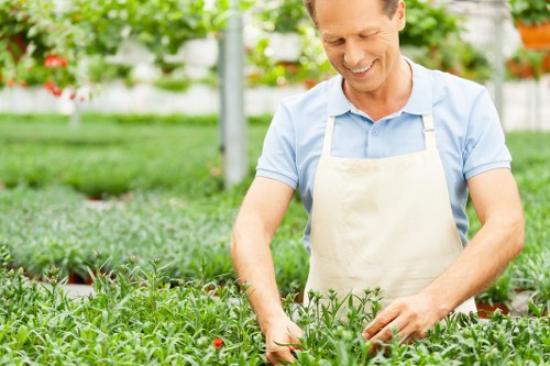Customer reviewing a landscaping quotation and service terms