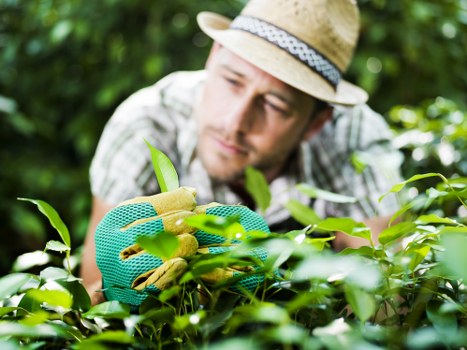 Safe Landscaping Westham payment summary before checkout