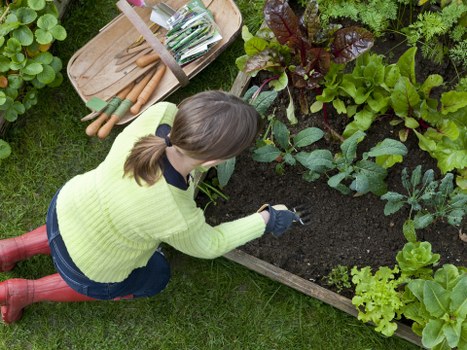 Reusable landscaping materials being prepared for charity donation