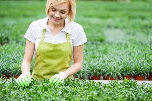 Local transfer station handling green waste and inert materials