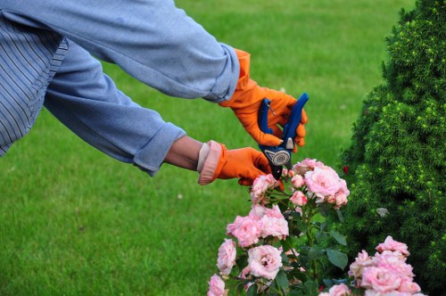 Responsible disposal and site clearance after landscaping work