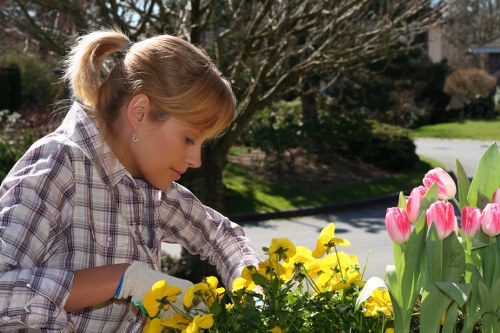 Decorative and functional garden lighting setup in Westham
